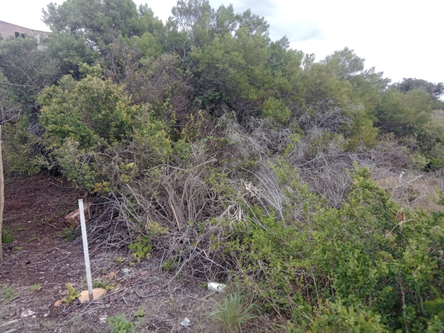 Commercial Property for Sale in Paradise Beach Eastern Cape